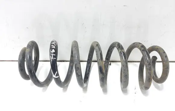 Rear coil spring