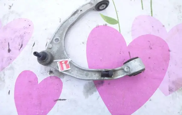 Front lower control arm/wishbone