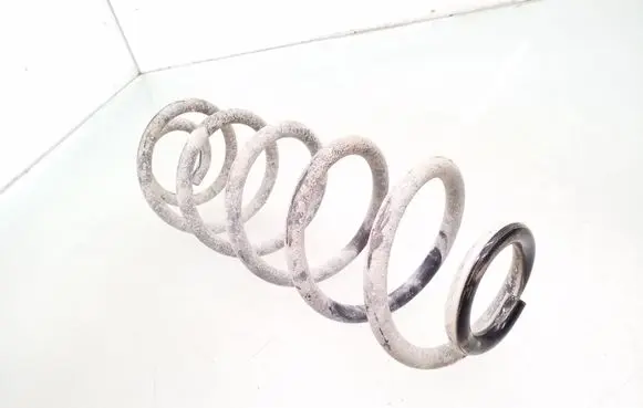 Rear coil spring
