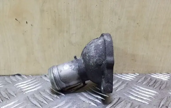 Thermostat/thermostat housing
