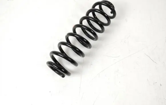 Toyota RAV 4 (XA50) Rear coil spring