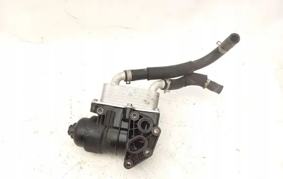 Hyundai Santa Fe Oil filter mounting bracket 264102F020