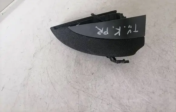 Tesla Model Y Front door speaker 166144800B