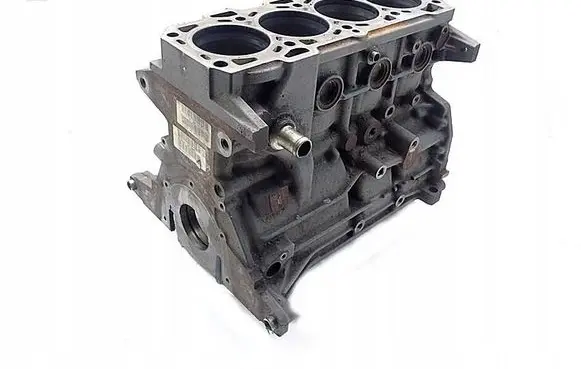 Opel Vectra C Engine block 55196611
