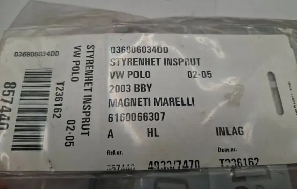 Volkswagen Polo Engine control unit/module 036906034DD 6160066307 304BCN71D