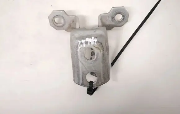 Renault Espace - Grand espace IV Rear door lower hinge