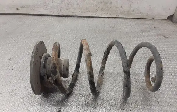 Rear coil spring