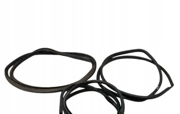 Toyota Avensis T270 Rubber seal front door (on door) 