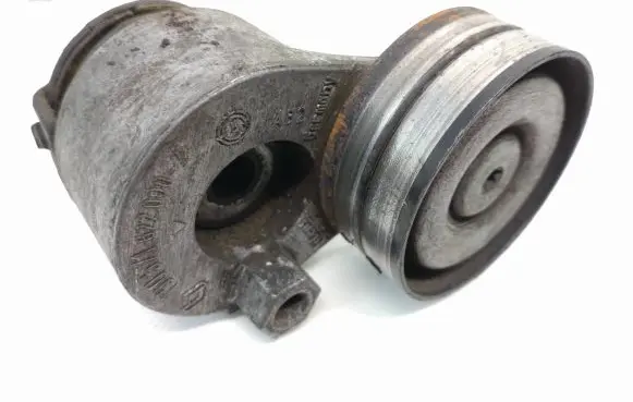 Opel Vivaro Alternator belt tensioner 1905716220002