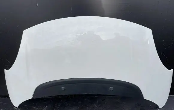 Fiat 500L Engine bonnet/hood