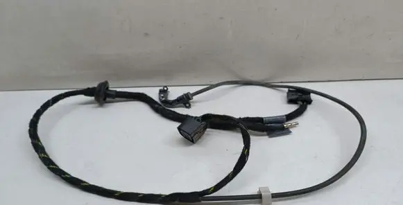 Front door wiring loom