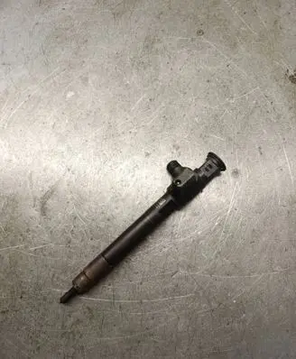 Peugeot Traveller Fuel injector 9674984080