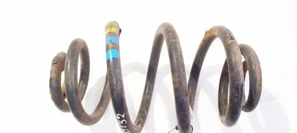 Rear coil spring