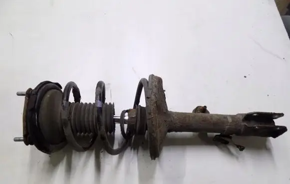 Toyota RAV 4 (XA20) Front shock absorber with coil spring 447220t6fgfgtf2