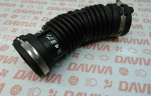 Renault Scenic RX Air intake hose/pipe