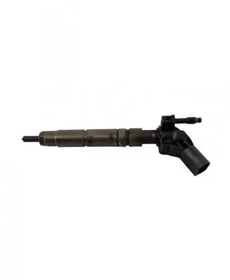 Mercedes-Benz R W251 Fuel injector A6420701387