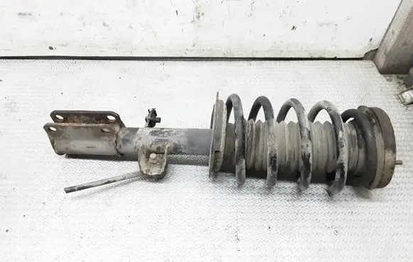 BMW X5 E53 Front shock absorber with coil spring