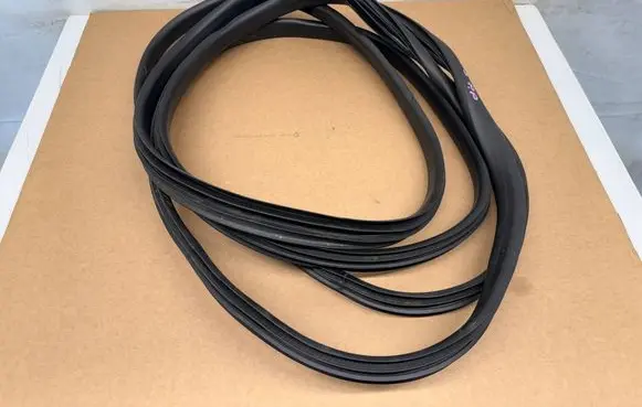 Dacia Sandero III Front door rubber seal SAN3USZCZDRZW2