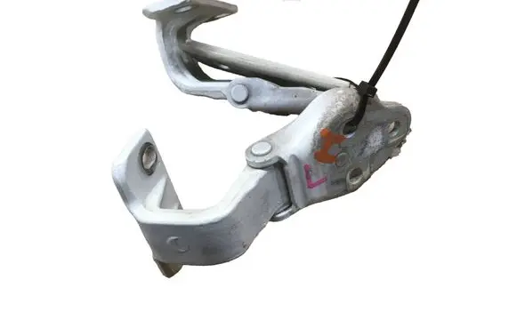 Iveco Daily 5th gen Front door hinges set 