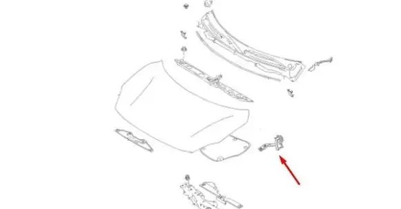 Suzuki Swift III Engine bonnet/hood hinges 5742052R00