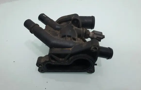 Thermostat/thermostat housing