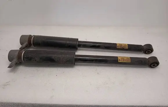 Chevrolet Volt I Rear shock absorber/damper 22825519 1012