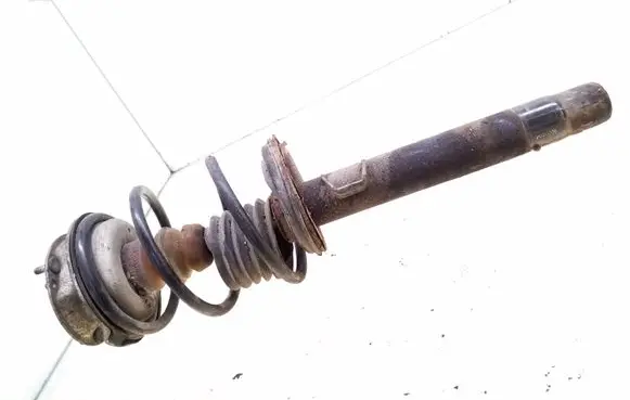 Front shock absorber with coil spring