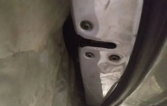 Hyundai Sonata Rear door lock