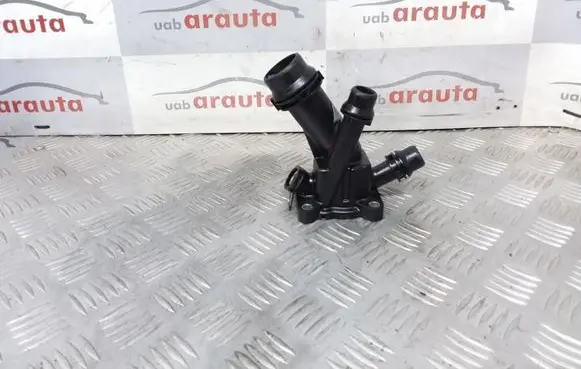 Thermostat/thermostat housing
