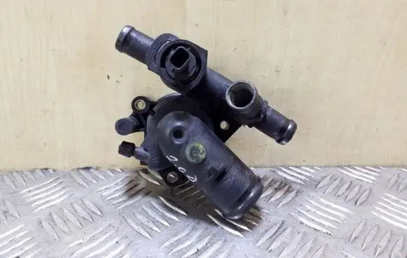 Thermostat/thermostat housing