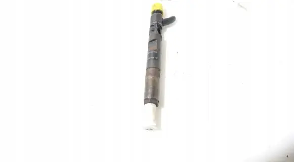 Renault Scenic II - Grand scenic II Fuel injector EJBR04001D