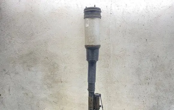 Mercedes-Benz S W220 Air suspension rear shock absorber C086054 010319011462