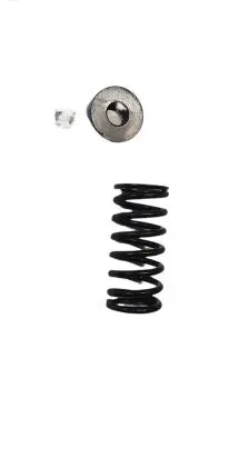 BMW 5 E60 E61 Valve NOCODE