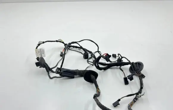 Audi A7 S7 4G Front door wiring loom 4G8971029CG TAB010403AG