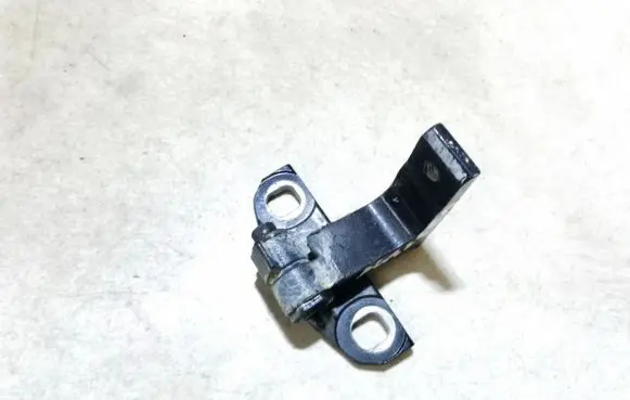 Volvo S60 Rear door lower hinge