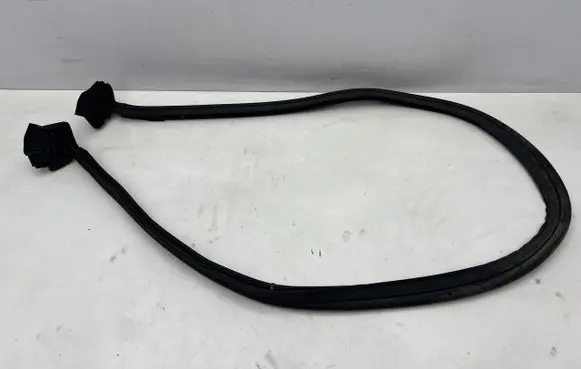 Ford Bronco Trunk rubber seal (body) M2DB-S404A07-BH