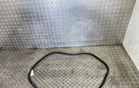 Volkswagen Tiguan Rubber seal rear door 5NA867913B