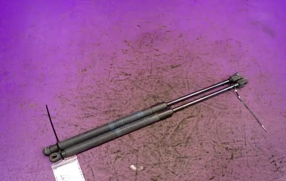 Tailgate strut