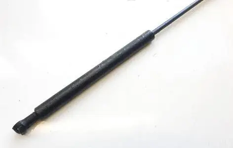 Tailgate/trunk strut/damper