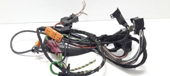 Front door wiring loom