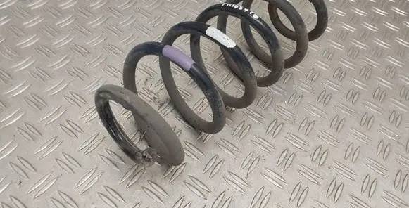 Rear coil spring