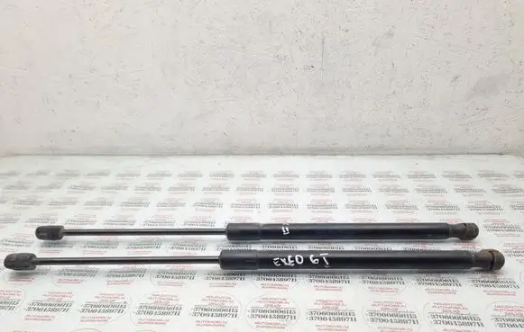 Tailgate/trunk strut/damper