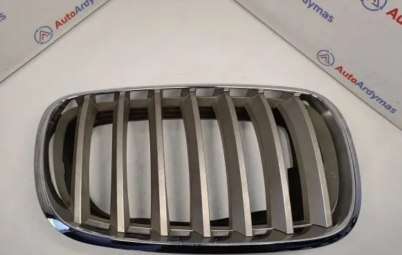 BMW X5 E70 Front grill 51137171396 51137185224