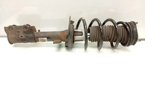 Ford Fiesta Front shock absorber with coil spring C1BC18045BE