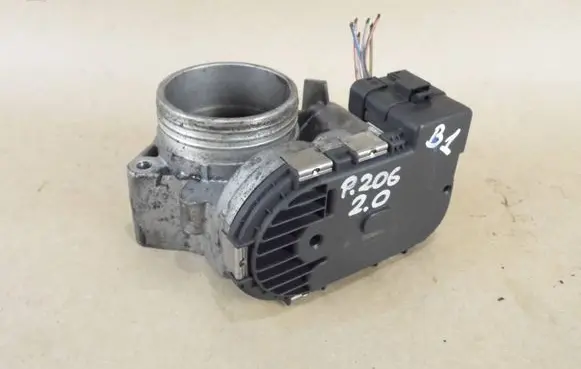Throttle body valve