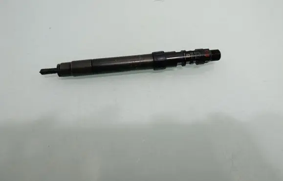 Peugeot 5008 Fuel injector 9686191080