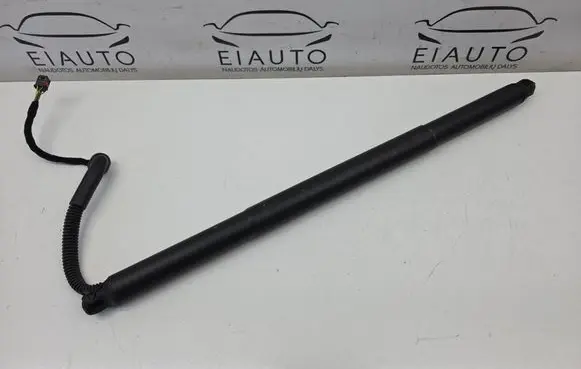 Tailgate strut