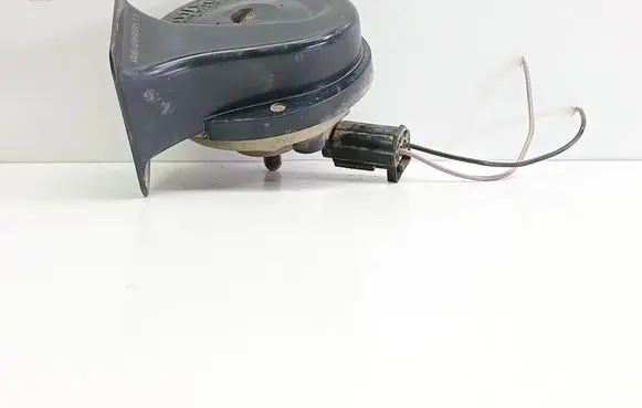 Horn signal