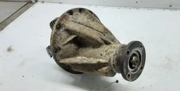 Nissan Terrano Rear differential