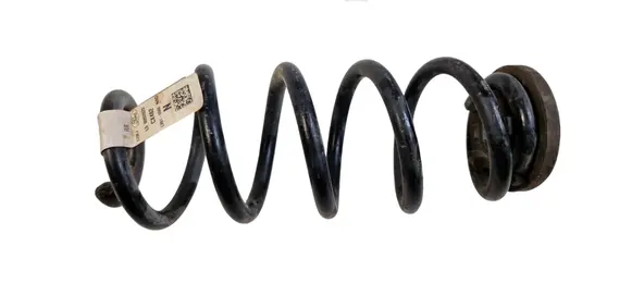 Ford Escape IV Rear coil spring LX615560 LX615560NAD L50092023